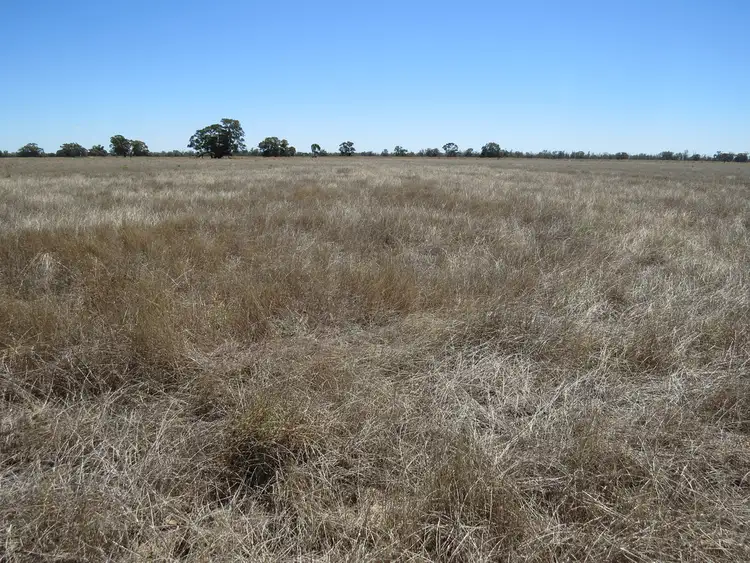 Second view of Homely rural property listing, 1825 Rangemore Road, Deniliquin NSW 2710