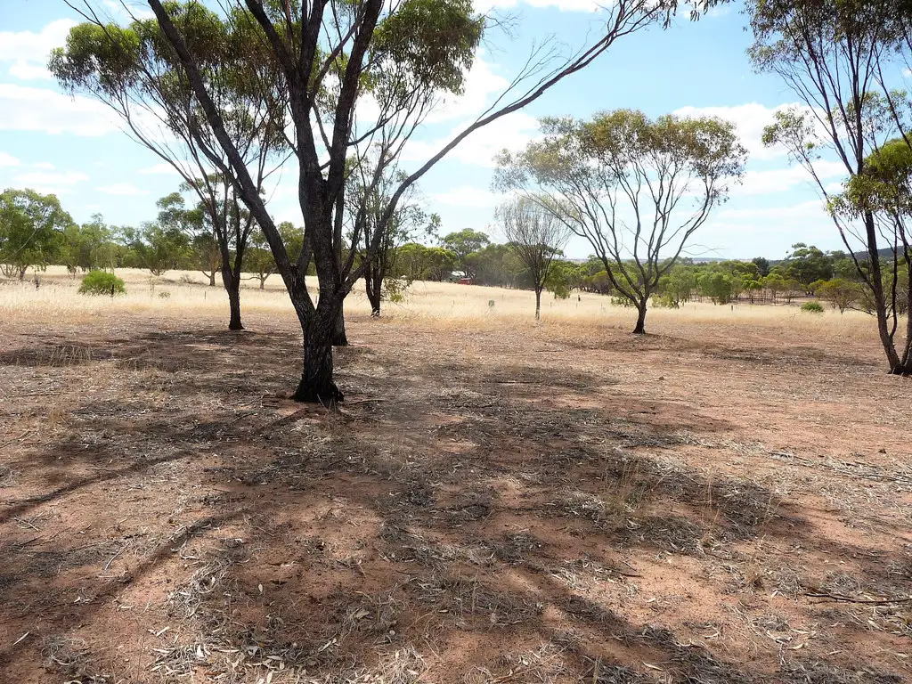 Main view of Homely land listing, Lot 74 Top Beverley Road, Mount Hardey WA 6302