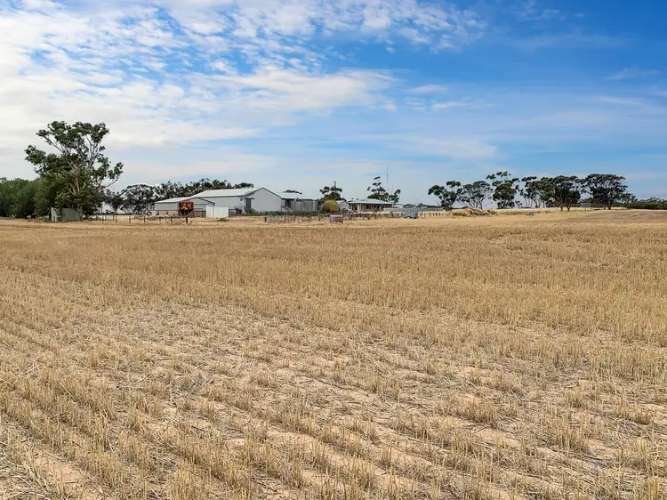 2385 Tooligie Hill Road, Tooligie SA 5607
