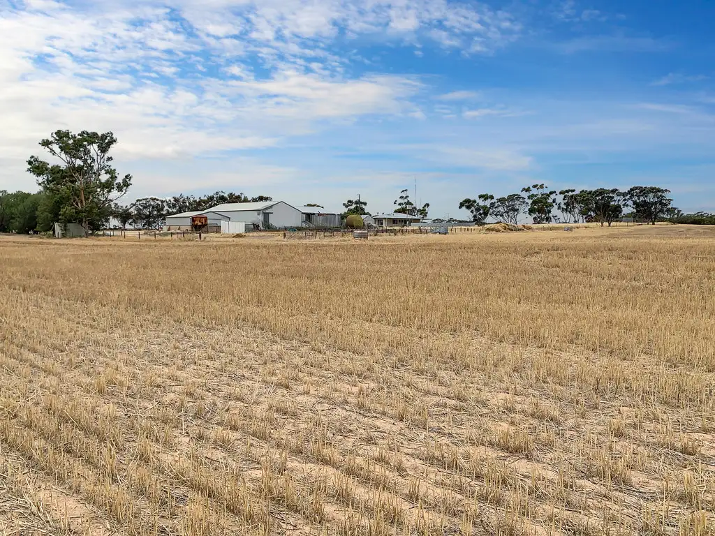 Main view of Homely rural property listing, 2385 Tooligie Hill Road, Tooligie SA 5607