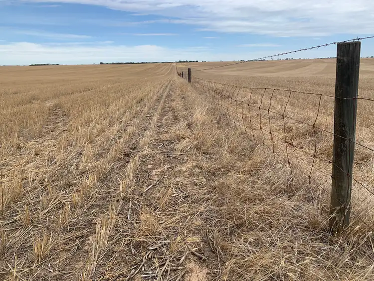 Second view of Homely rural property listing, 2385 Tooligie Hill Road, Tooligie SA 5607