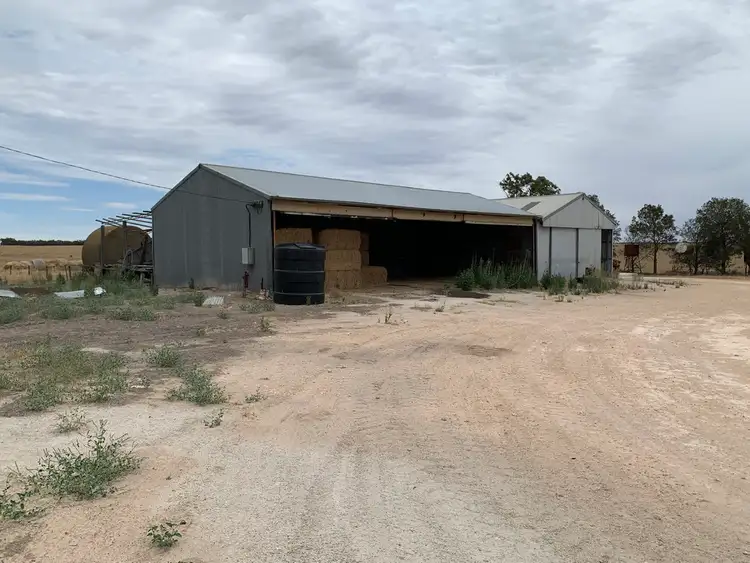 Third view of Homely rural property listing, 2385 Tooligie Hill Road, Tooligie SA 5607