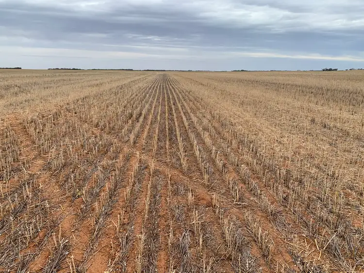 Fifth view of Homely rural property listing, 2385 Tooligie Hill Road, Tooligie SA 5607