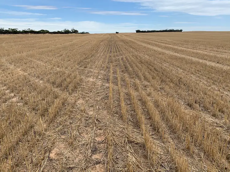 Sixth view of Homely rural property listing, 2385 Tooligie Hill Road, Tooligie SA 5607