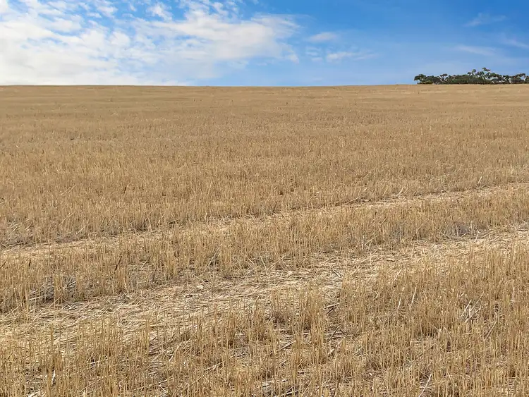 Seventh view of Homely rural property listing, 2385 Tooligie Hill Road, Tooligie SA 5607