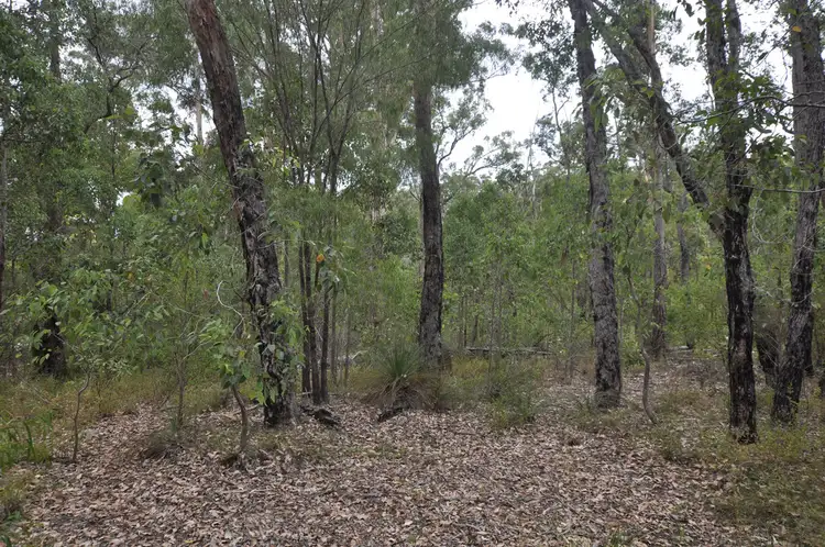 Fifth view of Homely land listing, LOT 31 KARRI LANE, Quinninup WA 6258