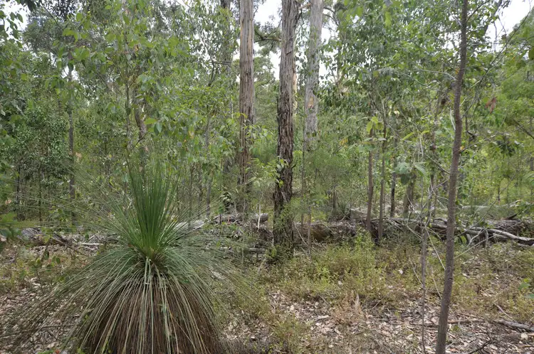 Seventh view of Homely land listing, LOT 31 KARRI LANE, Quinninup WA 6258