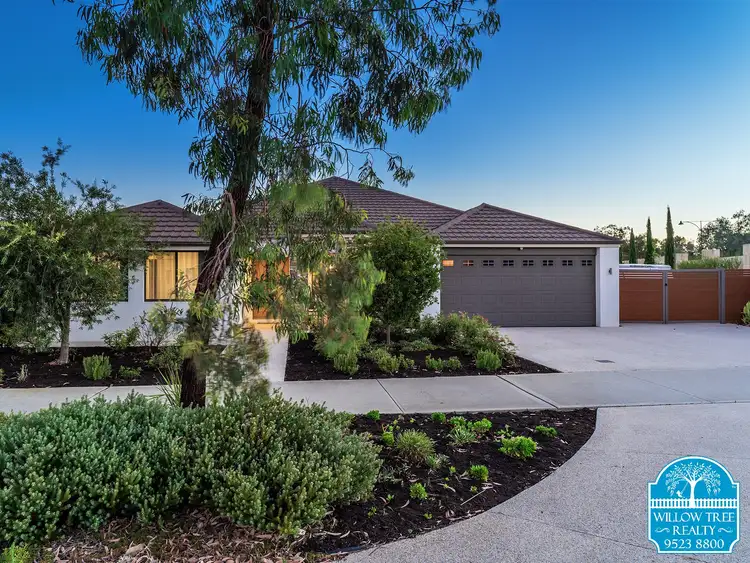 Main view of Homely house listing, 41 Rushmore Loop, Baldivis WA 6171