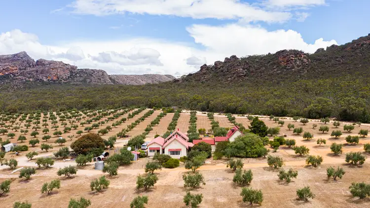 Sixth view of Homely rural property listing, 41 MT ZERO ROAD, Laharum VIC 3401