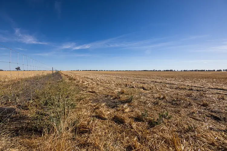Seventh view of Homely rural property listing, . McLennans Road, Wallup VIC 3401