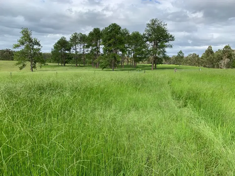 Fifth view of Homely rural property listing, 4984 Pringles Way, Lawrence NSW 2460