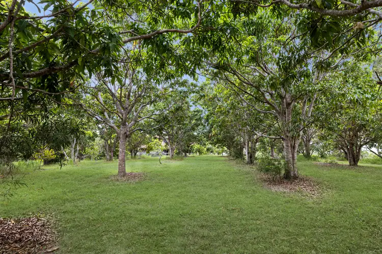 Main view of Homely house listing, 866 Diddillibah Road, Diddillibah QLD 4559