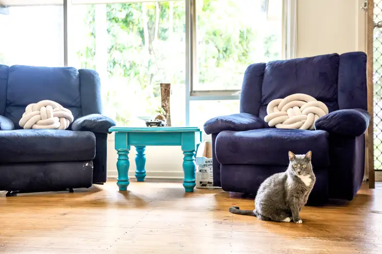 Fifth view of Homely house listing, 21 Edmund Street, Christie Downs SA 5164