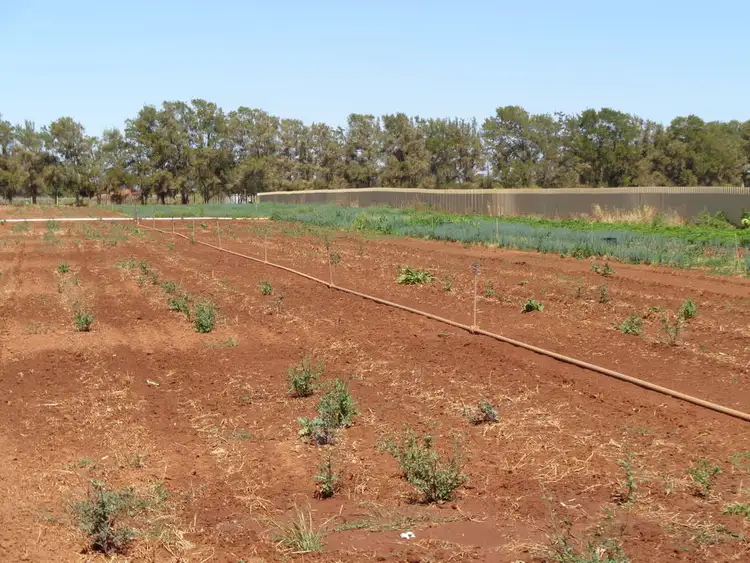 Sixth view of Homely land listing, 7 Bailey Road, Virginia SA 5120