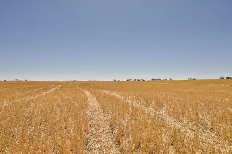Third view of Homely rural property listing, 2348 Stock Route Road, Underbool VIC 3509