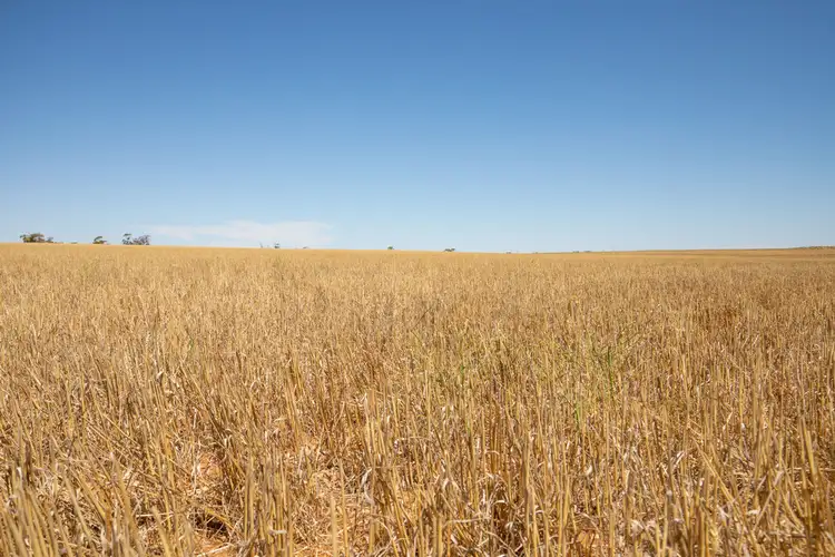 Fourth view of Homely rural property listing, 2348 Stock Route Road, Underbool VIC 3509