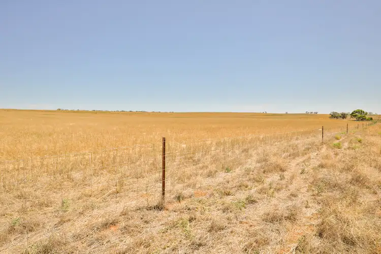 Fifth view of Homely rural property listing, 2348 Stock Route Road, Underbool VIC 3509