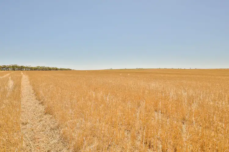 Sixth view of Homely rural property listing, 2348 Stock Route Road, Underbool VIC 3509