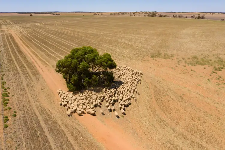 Seventh view of Homely rural property listing, 2348 Stock Route Road, Underbool VIC 3509
