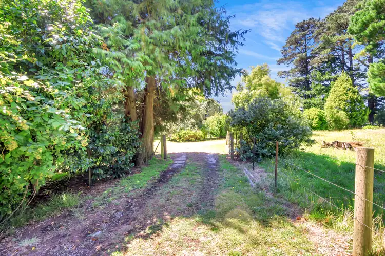 Fifth view of Homely house listing, 110 National Park Road, Kinglake West VIC 3757
