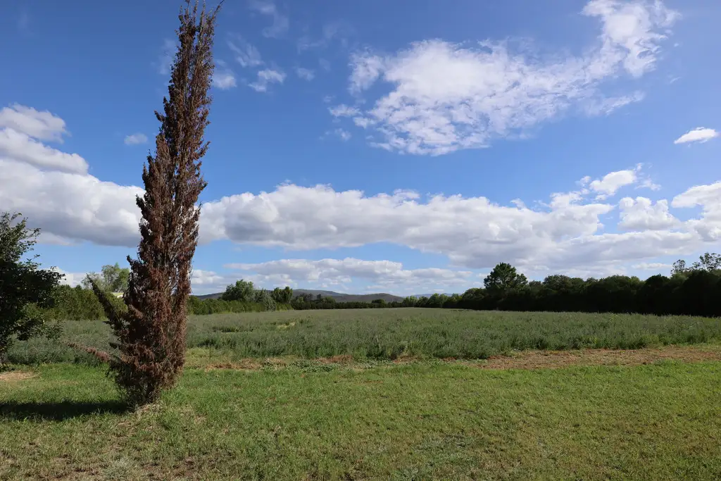 Main view of Homely land listing, 10-16 Drayton Street, Laidley QLD 4341