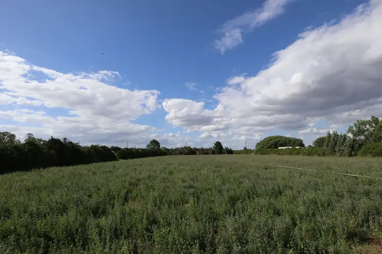 Seventh view of Homely land listing, 10-16 Drayton Street, Laidley QLD 4341