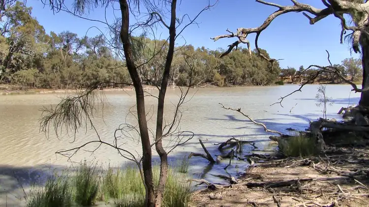 Lot 1 Anabranch Mail Road, Wentworth NSW 2648