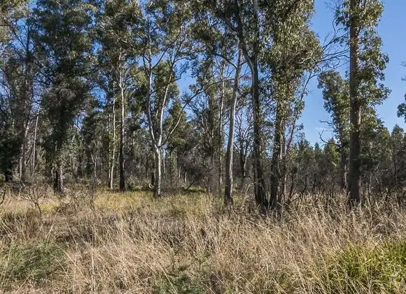 Second view of Homely land listing, Lot 4 Lanes Tier Road, Ouse TAS 7140