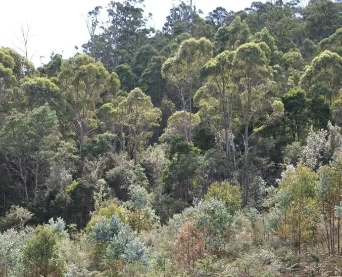 Third view of Homely land listing, Lot 2 Lanes Tier Road, Ouse TAS 7140