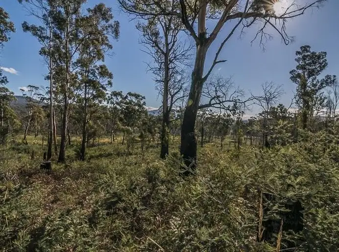 Main view of Homely land listing, Lot 1 Lanes Tier Road, Ouse TAS 7140