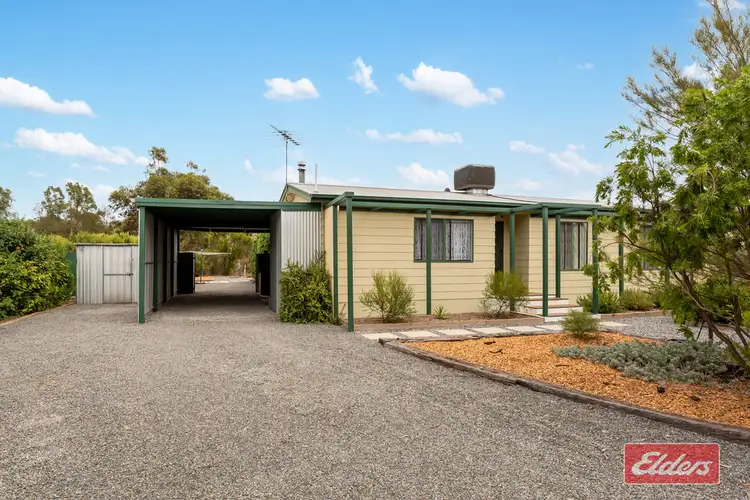 Main view of Homely house listing, 14 Schaefer Street, Freeling SA 5372