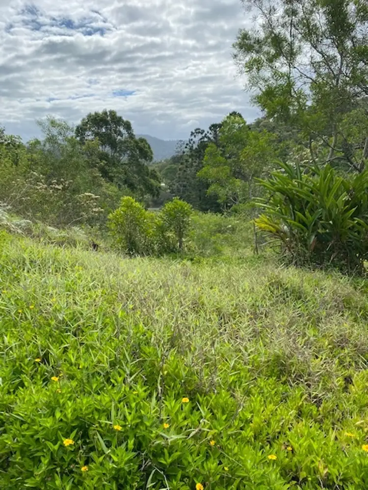 Fourth view of Homely land listing, 4 McEwen Lane, Eungella QLD 4757