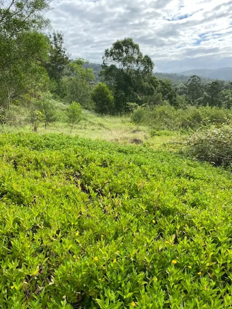 Sixth view of Homely land listing, 4 McEwen Lane, Eungella QLD 4757