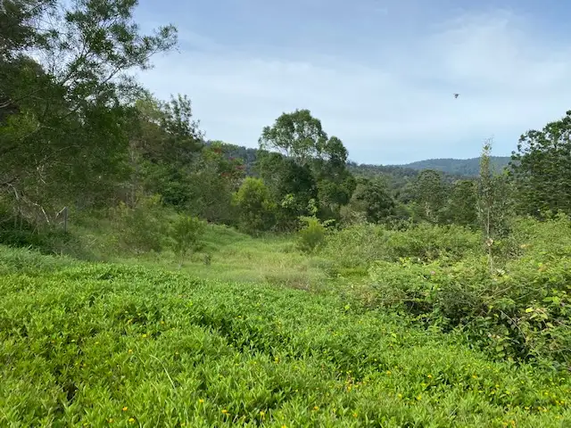 Seventh view of Homely land listing, 4 McEwen Lane, Eungella QLD 4757