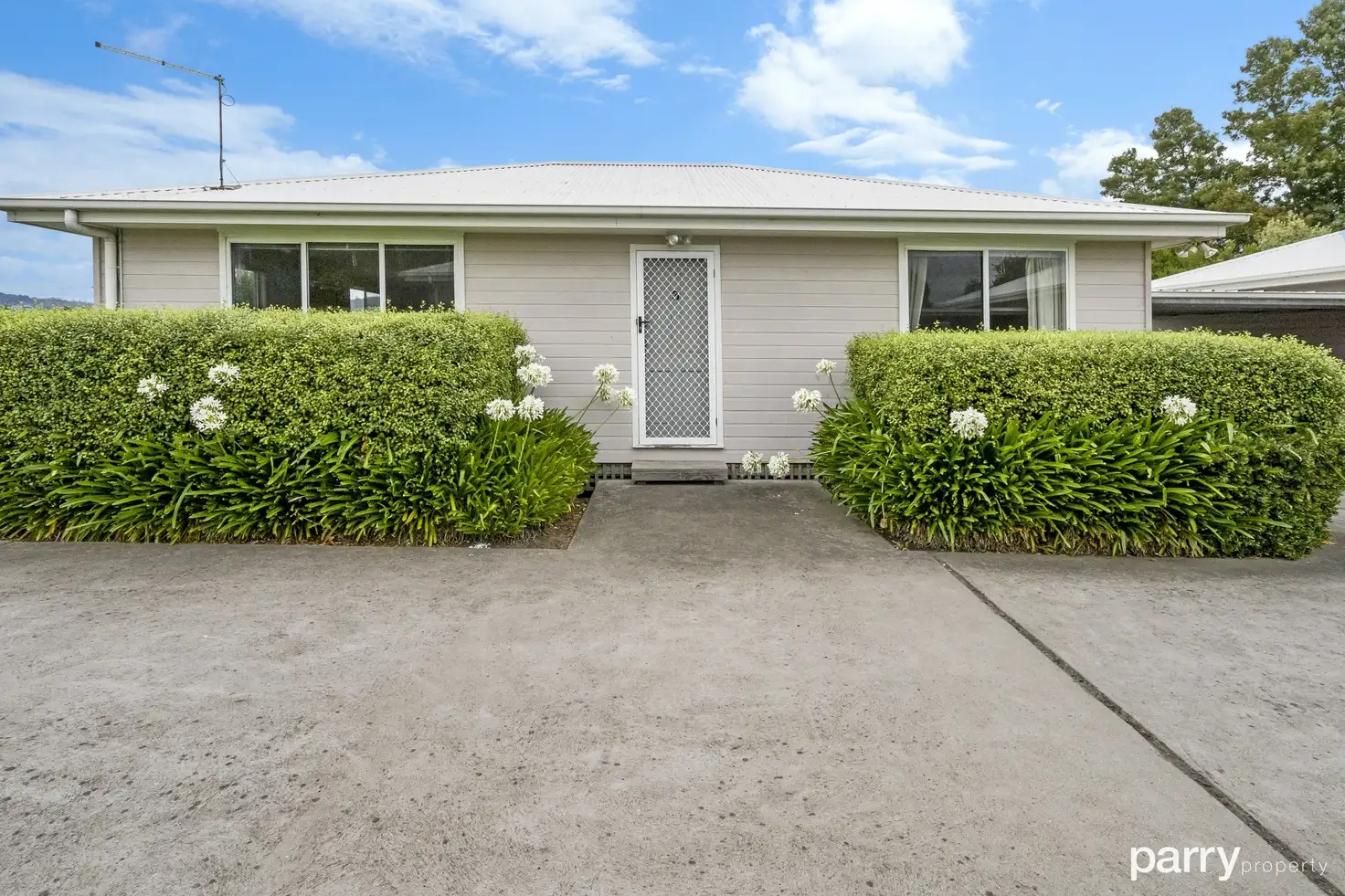 Main view of Homely house listing, 3/24 Ross Avenue, Invermay TAS 7248