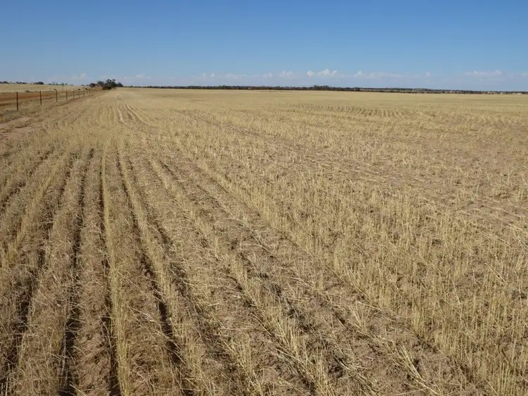 Main view of Homely rural property listing, Lots Thompson & Davies Road, Kondinin WA 6367
