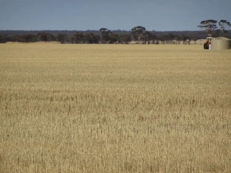 Fourth view of Homely rural property listing, Lots Thompson & Davies Road, Kondinin WA 6367