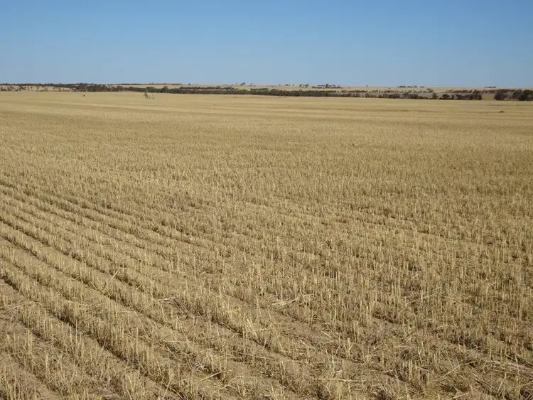 Sixth view of Homely rural property listing, Lots Thompson & Davies Road, Kondinin WA 6367