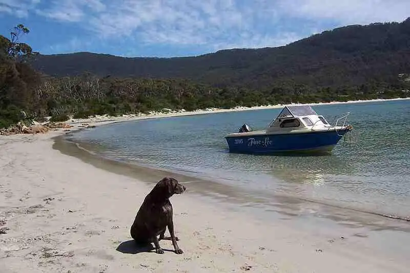 Main view of Homely land listing, Lot 9 /290 Blowhole Road, Eaglehawk Neck TAS 7179