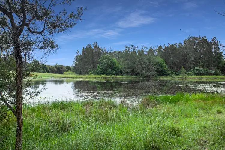 Second view of Homely rural property listing, 156 Clarkes Road, Tinonee NSW 2430