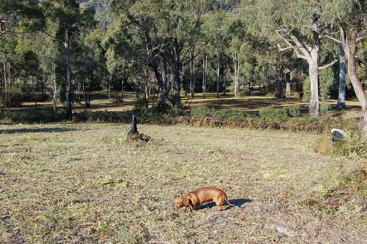Seventh view of Homely land listing, 39 Hawker Street, Murdunna TAS 7178