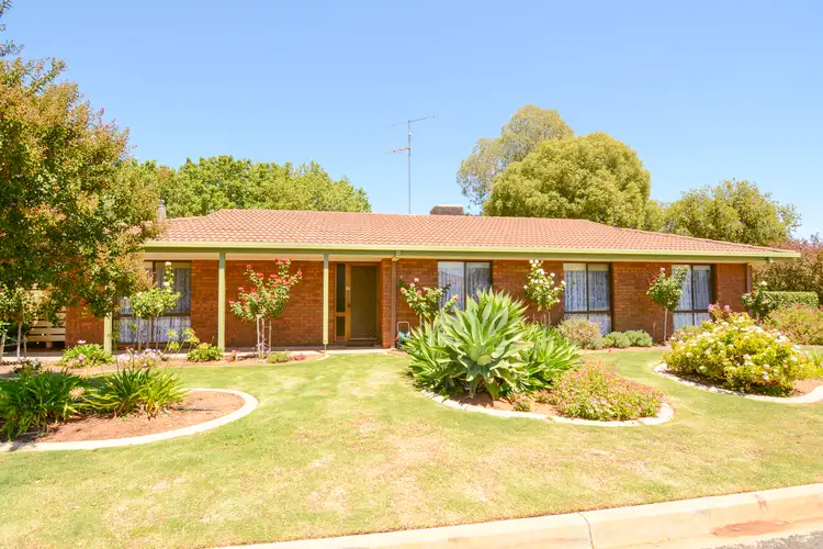 14 Etherington Drive, Mildura VIC 3500