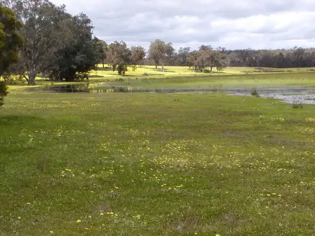 Seventh view of Homely land listing, Lot 17 Junction Road, Manjimup WA 6258