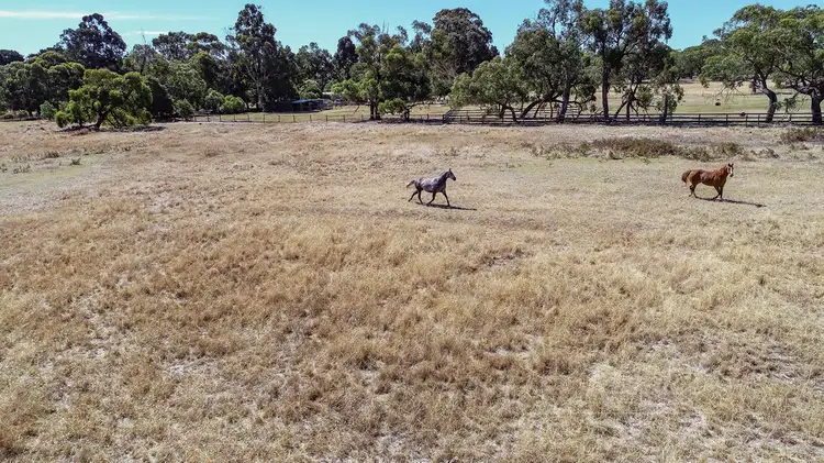 Fifth view of Homely land listing, Lot 408 Riddoch Highway, Naracoorte SA 5271
