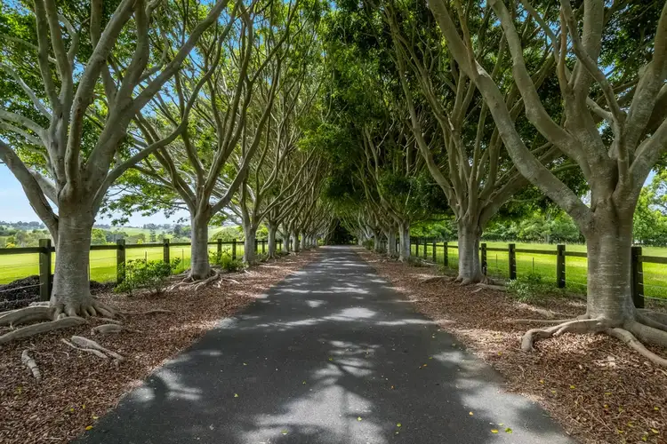 Sixth view of Homely house listing, 246 Martins Lane, Knockrow NSW 2479