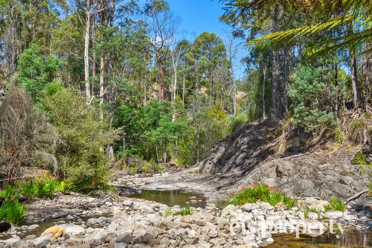 88 Forest Hill Road, Judbury TAS 7109