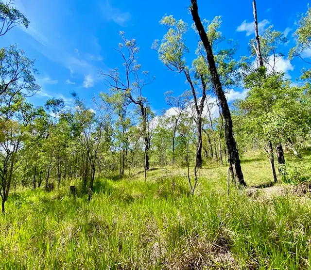 Third view of Homely land listing, Address available on request