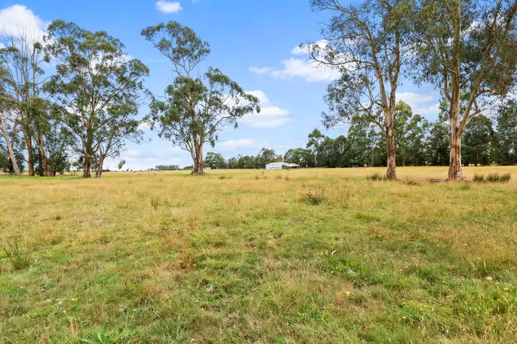 Fifth view of Homely rural property listing, 325 FOREST ROAD, Labertouche VIC 3816