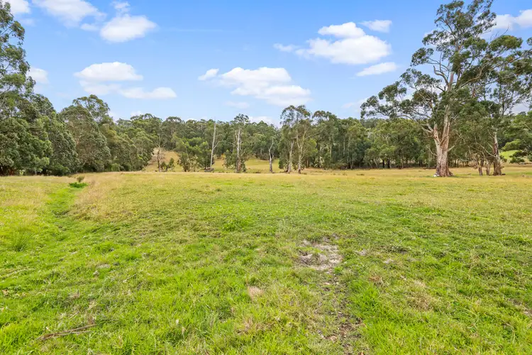Sixth view of Homely rural property listing, 325 FOREST ROAD, Labertouche VIC 3816