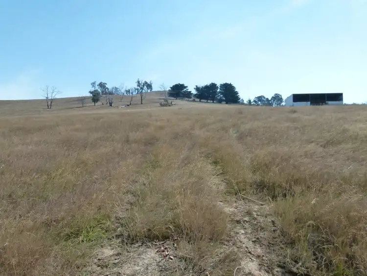 Fifth view of Homely rural property listing, 1081 Break O Day Road, Glenburn VIC 3717